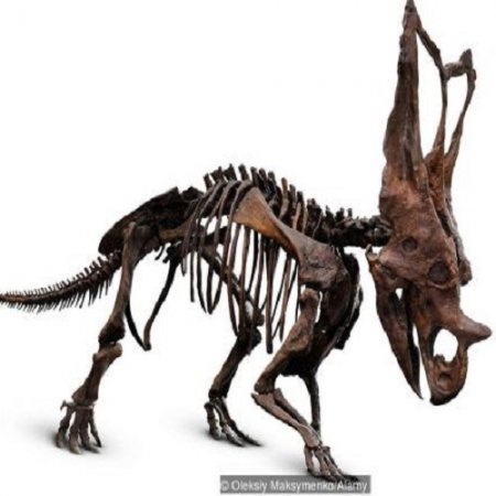 Обложка к Майкл Маршалл. Тайна появления жизни на Земле (2017) FB2,EPUB,MOBI