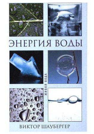 Обложка к Виктор Шаубергер - Энергия воды (2007) PDF