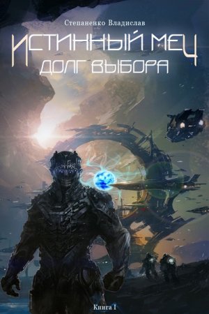 Обложка к Владислав Степаненко. Истинный меч. Долг выбора