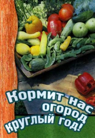 Обложка к Кормит нас огород круглый год!