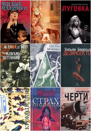 Обложка к Серия книг - Vasa Iniquitatis - Сосуд беззаконий