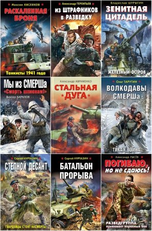 Обложка к Война. Штрафбат. Они сражались за Родину - Серия 104 книги