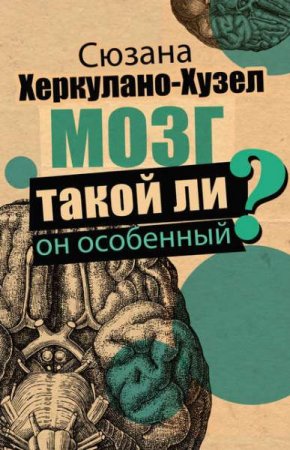 Обложка к Мозг. Такой ли он особенный?
