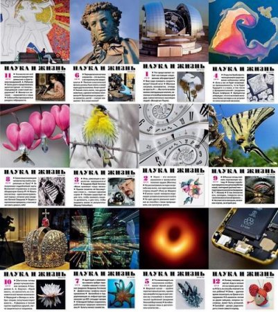 Обложка к Подшивка журнала - Наука и жизнь за 2019 год