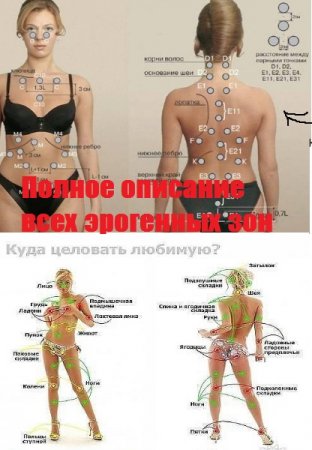 Обложка к Полное описание всех эрогенных зон