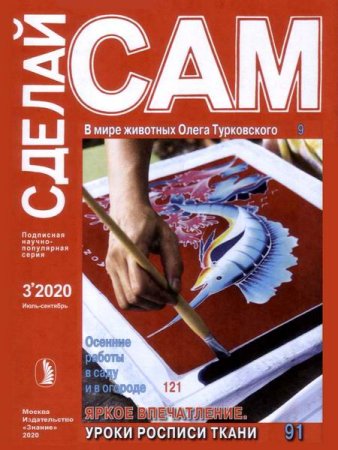 Обложка к Сделай сам №3 (июль-сентябрь 2020)