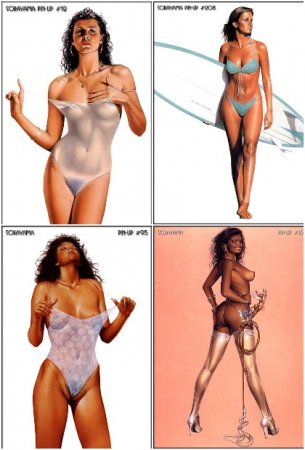 Обложка к Hajime Sorayama. Сборник рисунков