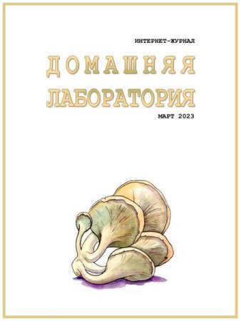 Обложка к Домашняя лаборатория №3 (март 2023)