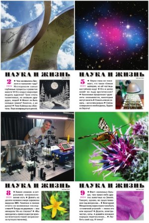 Обложка к Журнал - Наука и жизнь. Подшивка (12 номеров) за 2024 год